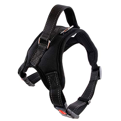 Tierbedarf, Heimtierbedarf, große Hunde, Hunde, Halsbänder, Haustiere,black,L Tierbedarf, Heimtierbedarf, große Hunde, Hunde, Halsbänder, Haustiere,black,L von Dear, you