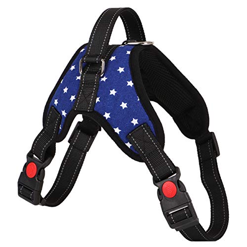 Tierbedarf, Heimtierbedarf, große Hunde, Hunde, Halsbänder, Haustiere,bluefivestar,XL Tierbedarf, Heimtierbedarf, große Hunde, Hunde, Halsbänder, Haustiere,bluefivestar,XL von Dear, you