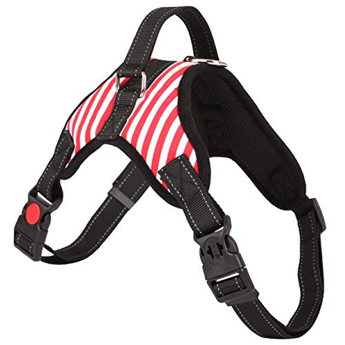 Tierbedarf, Heimtierbedarf, große Hunde, Hunde, Halsbänder, Haustiere,redandwhite,M Tierbedarf, Heimtierbedarf, große Hunde, Hunde, Halsbänder, Haustiere,redandwhite,M von Dear, you