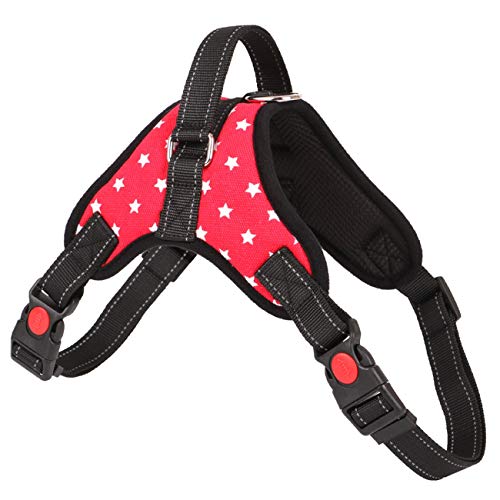 Tierbedarf, Heimtierbedarf, große Hunde, Hunde, Halsbänder, Haustiere,redfivestar,M Tierbedarf, Heimtierbedarf, große Hunde, Hunde, Halsbänder, Haustiere,redfivestar,M von Dear, you