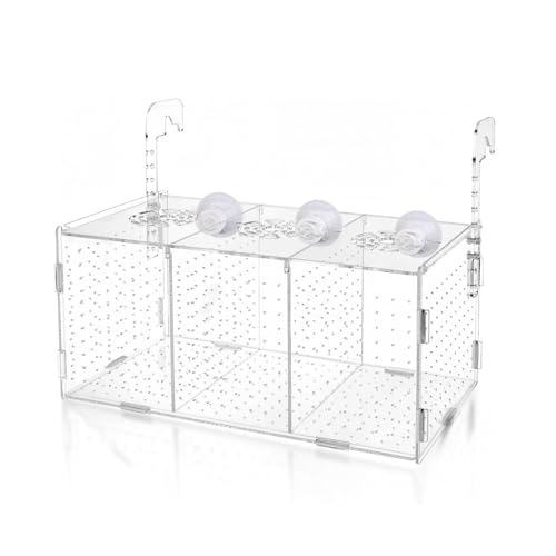 Ablaichkasten Aquarium, Acryl Fischzuchtbox, Zuchtbox Aufzuchtbecken Aquarium, Brutkasten für Fische, Hochtransparente Fischbecken für Zucht, Isolierung und Fütterung(30 * 15 * 15 cm) von Deautie