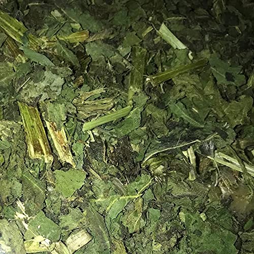 Brennesseln getrocknet 500 g - Brennesseln für Kaninchen, Nager, Kleintiere, Hunde, Vögel und mehr Brennesseln getrocknet 500 g - Brennesseln für Kaninchen, Nager, Kleintiere, Hunde, Vögel und mehr von Debes