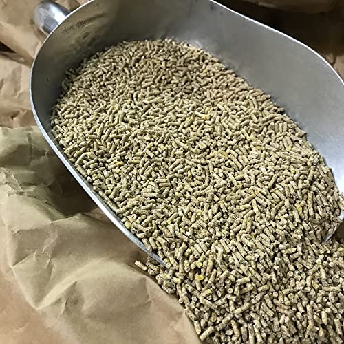 Mastfutter für Geflügel wie Hühner Enten Gänse und mehr 25 kg | GVO-frei | ohne Gentechnik | Alleinfutter mit Vitaminen und Mineralien Mastfutter für Geflügel wie Hühner Enten Gänse und mehr 25 kg | GVO-frei | ohne Gentechnik | Alleinfutter mit Vitaminen und Mineralien von Debes