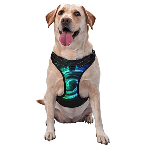 Hundegeschirr, Regenbogenfarben, bedruckt, kein Ziehen, verstellbar, reflektierend, Haustier-Oxford-Weste, einfach anzuziehen Hundegeschirr, Regenbogenfarben, bedruckt, kein Ziehen, verstellbar, reflektierend, Haustier-Oxford-Weste, einfach anzuziehen von Debou