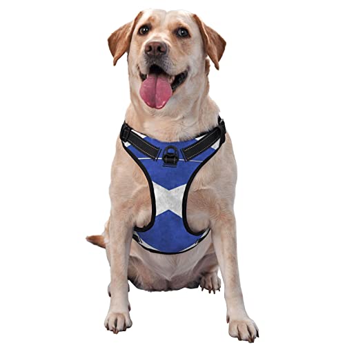 Hundegeschirr, Retro-Druck, kein Ziehen, verstellbar, reflektierend, Haustier-Oxford-Weste, einfach anzuziehen Hundegeschirr, Retro-Druck, kein Ziehen, verstellbar, reflektierend, Haustier-Oxford-Weste, einfach anzuziehen von Debou