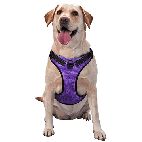 Hundegeschirr, bedruckt, kein Ziehen, reflektierend, für kleine, mittelgroße und große Hunde, Violett von Debou