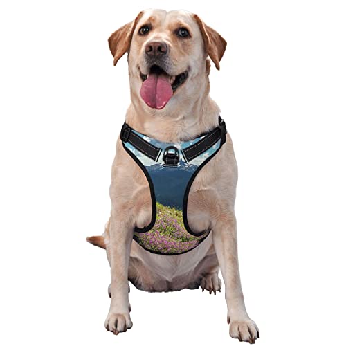 Hundegeschirr, bedruckt, kein Ziehen, reflektierend, für kleine, mittelgroße und große Hunde Hundegeschirr, bedruckt, kein Ziehen, reflektierend, für kleine, mittelgroße und große Hunde von Debou
