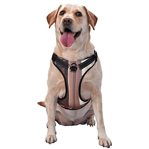 Hundegeschirr, bedruckt, kein Ziehen, reflektierend, für kleine, mittelgroße und große Hunde Hundegeschirr, bedruckt, kein Ziehen, reflektierend, für kleine, mittelgroße und große Hunde von Debou
