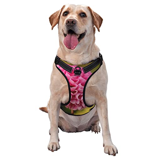 Hundegeschirr, bedruckt, kein Ziehen, verstellbar, reflektierend, Haustier-Oxford-Weste, einfach anzuziehen, Rosa Hundegeschirr, bedruckt, kein Ziehen, verstellbar, reflektierend, Haustier-Oxford-Weste, einfach anzuziehen, Rosa von Debou