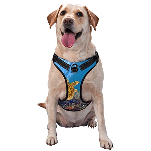 Hundegeschirr, bedruckt, kein Ziehen, verstellbar, reflektierend, Haustier-Oxford-Weste, einfach anzuziehen Hundegeschirr, bedruckt, kein Ziehen, verstellbar, reflektierend, Haustier-Oxford-Weste, einfach anzuziehen von Debou