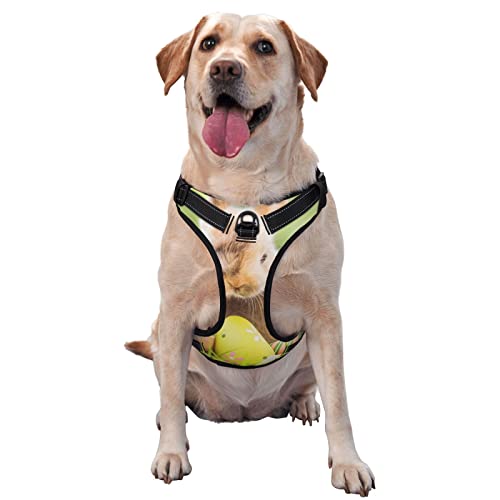 Hundegeschirr, bedruckt, kein Ziehen, verstellbar, reflektierend, Haustier-Oxford-Weste, einfach anzuziehen Hundegeschirr, bedruckt, kein Ziehen, verstellbar, reflektierend, Haustier-Oxford-Weste, einfach anzuziehen von Debou
