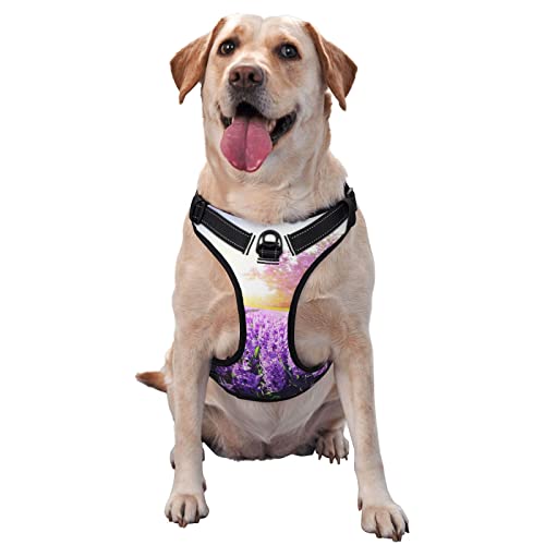 Hundegeschirr, kein Ziehen, reflektierend, für kleine, mittelgroße und große Hunde, Lavendel, Violett von Debou