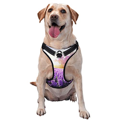 Hundegeschirr, kein Ziehen, reflektierend, für kleine, mittelgroße und große Hunde, Lavendel, Violett Hundegeschirr, kein Ziehen, reflektierend, für kleine, mittelgroße und große Hunde, Lavendel, Violett von Debou