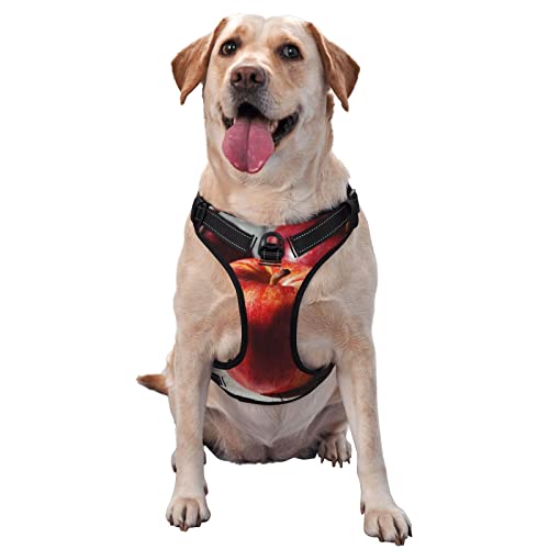 Hundegeschirr, kein Ziehen, reflektierend, für kleine, mittelgroße und große Hunde, Rot mit Früchten bedruckt Hundegeschirr, kein Ziehen, reflektierend, für kleine, mittelgroße und große Hunde, Rot mit Früchten bedruckt von Debou
