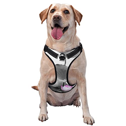 Hundegeschirr, mit Lotusblumen-Aufdruck, kein Ziehen, verstellbar, reflektierend, Haustier-Oxford-Weste, einfach anzuziehen, Rosa Hundegeschirr, mit Lotusblumen-Aufdruck, kein Ziehen, verstellbar, reflektierend, Haustier-Oxford-Weste, einfach anzuziehen, Rosa von Debou