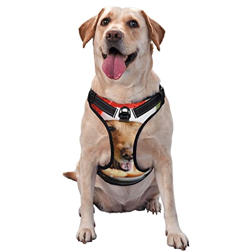 Hundegeschirr mit Aufschrift "Merry Christmas", bedruckt, kein Ziehen, verstellbar, reflektierend, Oxford-Weste, einfach anzuziehen Hundegeschirr mit Aufschrift "Merry Christmas", bedruckt, kein Ziehen, verstellbar, reflektierend, Oxford-Weste, einfach anzuziehen von Debou