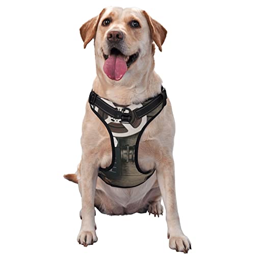Hundegeschirr mit Filmkamera-Aufdruck, kein Ziehen, kein Würgen, reflektierende Hundeweste, für kleine, mittelgroße und große Hunde Hundegeschirr mit Filmkamera-Aufdruck, kein Ziehen, kein Würgen, reflektierende Hundeweste, für kleine, mittelgroße und große Hunde von Debou