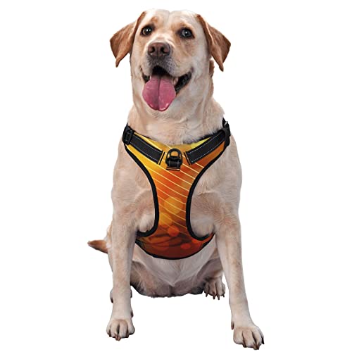 Hundegeschirr mit Musiknoten-Aufdruck, kein Ziehen, kein Würgen, reflektierend, für kleine, mittelgroße und große Hunde Hundegeschirr mit Musiknoten-Aufdruck, kein Ziehen, kein Würgen, reflektierend, für kleine, mittelgroße und große Hunde von Debou