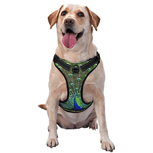 Hundegeschirr mit Pfauenmuster, kein Ziehen, kein Würgen, reflektierend, für kleine, mittelgroße und große Hunde Hundegeschirr mit Pfauenmuster, kein Ziehen, kein Würgen, reflektierend, für kleine, mittelgroße und große Hunde von Debou