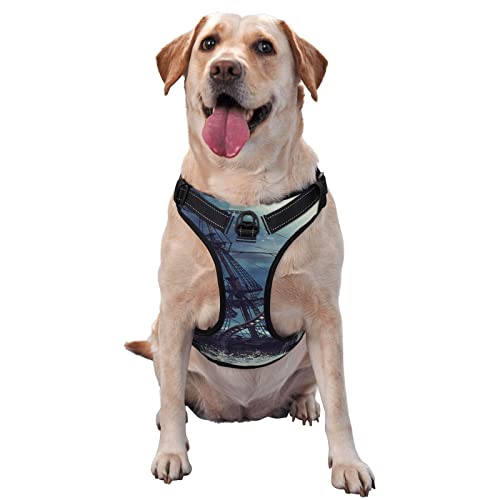 Hundegeschirr mit Piraten-Oktopus-Monsterschiff, bedruckt, kein Ziehen, reflektierend, für kleine, mittelgroße und große Hunde Hundegeschirr mit Piraten-Oktopus-Monsterschiff, bedruckt, kein Ziehen, reflektierend, für kleine, mittelgroße und große Hunde von Debou
