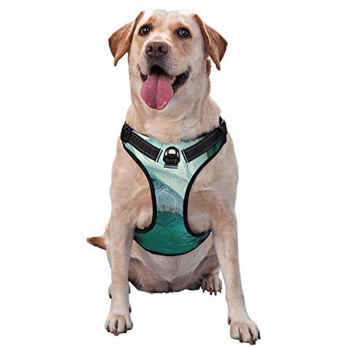 Hundegeschirr mit natürlichem Marmor-Druck, kein Ziehen, kein Würgen, reflektierend, für kleine, mittelgroße und große Hunde Hundegeschirr mit natürlichem Marmor-Druck, kein Ziehen, kein Würgen, reflektierend, für kleine, mittelgroße und große Hunde von Debou