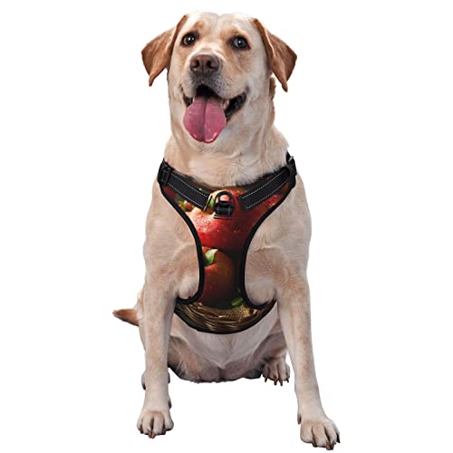 Hundegeschirr mit roten Früchten im Korb, kein Ziehen, reflektierend, für kleine, mittelgroße und große Hunde Hundegeschirr mit roten Früchten im Korb, kein Ziehen, reflektierend, für kleine, mittelgroße und große Hunde von Debou