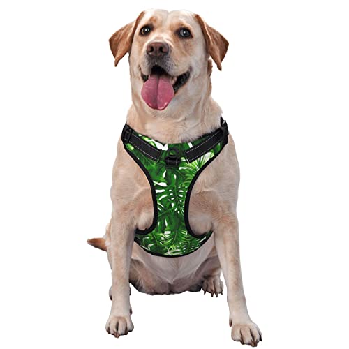 Monstera Deliciosa Hundegeschirr, bedruckt, kein Ziehen, verstellbar, reflektierend, Oxford-Weste, einfach anzuziehen Monstera Deliciosa Hundegeschirr, bedruckt, kein Ziehen, verstellbar, reflektierend, Oxford-Weste, einfach anzuziehen von Debou