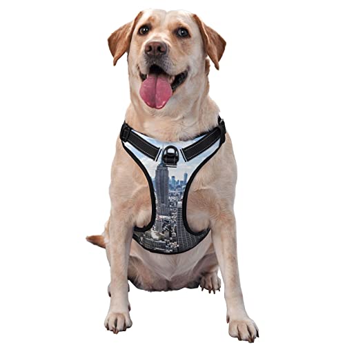 New York Fashion City Hundegeschirr, bedruckt, kein Ziehen, reflektierend, für kleine, mittelgroße und große Hunde New York Fashion City Hundegeschirr, bedruckt, kein Ziehen, reflektierend, für kleine, mittelgroße und große Hunde von Debou