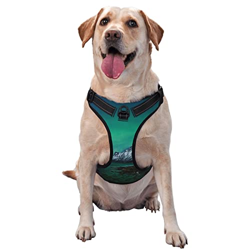 Northern Lights Aurora Borealis Hundegeschirr, bedruckt, kein Ziehen, reflektierend, für kleine, mittelgroße und große Hunde Northern Lights Aurora Borealis Hundegeschirr, bedruckt, kein Ziehen, reflektierend, für kleine, mittelgroße und große Hunde von Debou