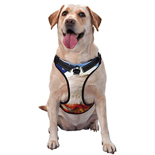 Patriotic Eagle Hundegeschirr, bedruckt, kein Ziehen, verstellbar, reflektierend, Haustier-Oxford-Weste, einfach anzuziehen Patriotic Eagle Hundegeschirr, bedruckt, kein Ziehen, verstellbar, reflektierend, Haustier-Oxford-Weste, einfach anzuziehen von Debou
