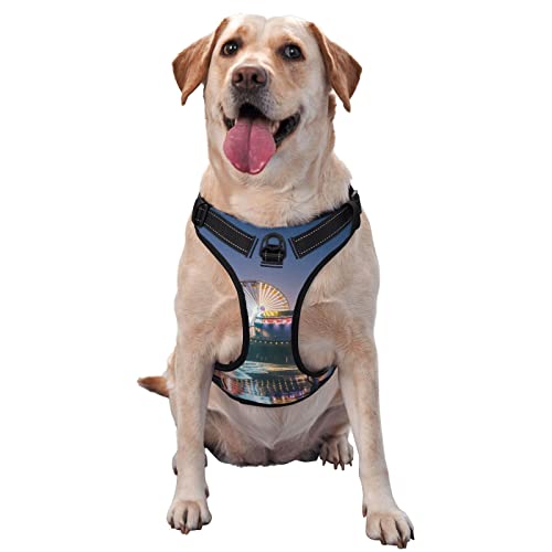 Pier Lights Hundegeschirr, bedruckt, kein Ziehen, verstellbar, reflektierend, Haustier-Oxford-Weste, einfach anzuziehen Pier Lights Hundegeschirr, bedruckt, kein Ziehen, verstellbar, reflektierend, Haustier-Oxford-Weste, einfach anzuziehen von Debou
