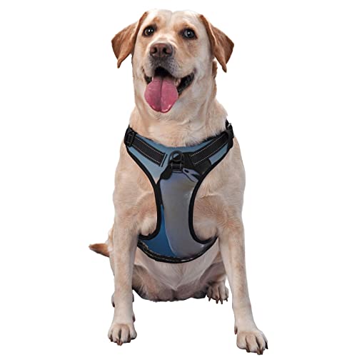 Pinguin-Hundegeschirr, bedruckt, kein Ziehen, verstellbar, reflektierend, Haustier-Oxford-Weste, einfach anzuziehen Pinguin-Hundegeschirr, bedruckt, kein Ziehen, verstellbar, reflektierend, Haustier-Oxford-Weste, einfach anzuziehen von Debou
