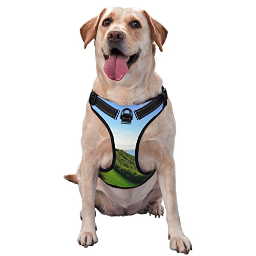 Puerto Rico Hundegeschirr, bedruckt, kein Ziehen, reflektierend, für kleine, mittelgroße und große Hunde Puerto Rico Hundegeschirr, bedruckt, kein Ziehen, reflektierend, für kleine, mittelgroße und große Hunde von Debou