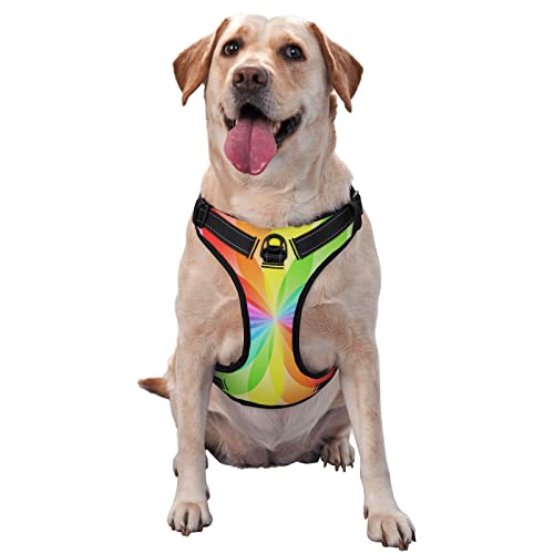 Regenbogen-dynamisches, bedrucktes Hundegeschirr, verstellbares, reflektierendes Hundegeschirr, Oxford-Weste, einfach anzuziehen Regenbogen-dynamisches, bedrucktes Hundegeschirr, verstellbares, reflektierendes Hundegeschirr, Oxford-Weste, einfach anzuziehen von Debou