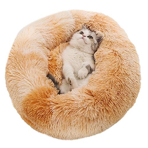 Decanyue 35-100cm Haustier Katzenbett Bequemes Haustier Nest Hund Katze Waschbarer Zwinger Weiche warme Haustier Katzen Hund Rundbett Haus Langer Plüsch 50cm 3 Decanyue 35-100cm Haustier Katzenbett Bequemes Haustier Nest Hund Katze Waschbarer Zwinger Weiche warme Haustier Katzen Hund Rundbett Haus Langer Plüsch 50cm 3 von Decanyue