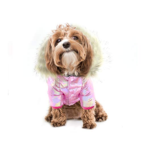 Decdeal Haustierkleidung Wasserdichter Haustiermantel mit Hut Hunde Haustier-Herbstkleidung Weich Winddicht für Kleine Mittelgroße von Decdeal