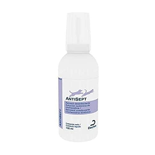 ANTISEPT 100 ml ANTISEPT 100 ml von Dechra