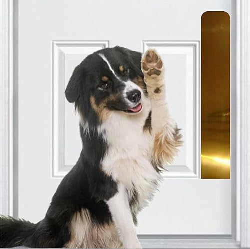 Deck the Door Decor | Kratzschutzplatte für Hunde – eloxiertes Aluminium – 3M-Klebehalterung – mehrere Farben – Größen für alle Türen (4 x 22, glänzendes Messing) von Deck the Door Decor