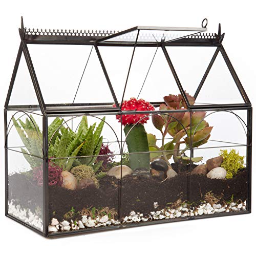 Deco Geometrisches Gewächshaus aus Glas, Terrarium, Sukkulenten & Luftpflanze, Gewächshaus (25 x 12 x 21 cm) von Deco