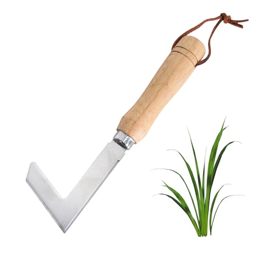 Fugenkratzer, Unkrautkratzer aus Edelstahl, Unkrautkratzer mit Holzgriff, Fugenreiniger Unkrautkratzer, Doppelseitiges Scharfes Edelstahlmesser Werden Verwendet, zum Entfernen von Unkraut und Moos Fugenkratzer, Unkrautkratzer aus Edelstahl, Unkrautkratzer mit Holzgriff, Fugenreiniger Unkrautkratzer, Doppelseitiges Scharfes Edelstahlmesser Werden Verwendet, zum Entfernen von Unkraut und Moos von DecorDwell