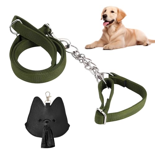 Hundeleine, Führleine für Hunde, Nylon Laufleine mit 1 Karabiner, Hunde Seilleine mit Hundekotbeutelspender, 60 kg Extreme Kraft, Verstellbare Kragen, 1,5M Trainingsleine zum Mittlere Große Hund von DecorDwell