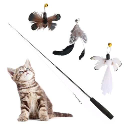 Katzenspielzeug Interaktives Katzenspielzeug, Katzenspielzeug Angel Set, Mit 1 Skalierbar Stangen Und 3 Feder Spielzeug Mit Glocken, Katzen Spielzeug Kitten Federn,Katzenspielzeug Spielzeug Mit Federn Katzenspielzeug Interaktives Katzenspielzeug, Katzenspielzeug Angel Set, Mit 1 Skalierbar Stangen Und 3 Feder Spielzeug Mit Glocken, Katzen Spielzeug Kitten Federn,Katzenspielzeug Spielzeug Mit Federn von DecorDwell