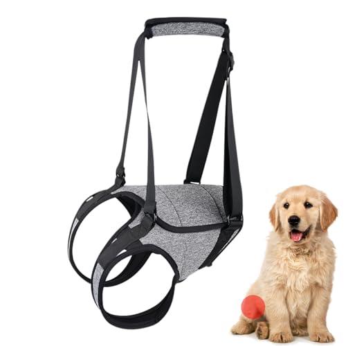 Decorhome Hundehebegeschirr – Stützschlinge Für Ältere Hunde | Hundegeschirr Zur Unterstützung Der Hinterbeine | Treppenhilfe Für Gelenkgeschädigte, Behinderte Hunde | Rückengestütztes Traktionsgeschi Decorhome Hundehebegeschirr – Stützschlinge Für Ältere Hunde | Hundegeschirr Zur Unterstützung Der Hinterbeine | Treppenhilfe Für Gelenkgeschädigte, Behinderte Hunde | Rückengestütztes Traktionsgeschi von Decorhome