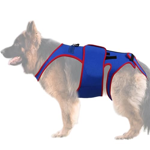 Decorhome Rückenstütze für Hunde, unterstützt kleine Hunde mit Rückenproblemen, D-Ring-Reflexstreifen für erhöhte Sicherheit, hilft Linderung zu verhindern, Rehabilitationskleidung für Hunde mit Decorhome Rückenstütze für Hunde, unterstützt kleine Hunde mit Rückenproblemen, D-Ring-Reflexstreifen für erhöhte Sicherheit, hilft Linderung zu verhindern, Rehabilitationskleidung für Hunde mit von Decorhome