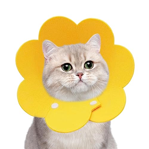 Hunde-Schutzhalsband – Haustier-Katzen-Schutzhalsband, verstellbare Donut-E-Halsbänder, weicher Hundekegel zur Genesung, Katzen und Hunde, kleine bis große Größen, für Hundeliebhaber von Decorhome