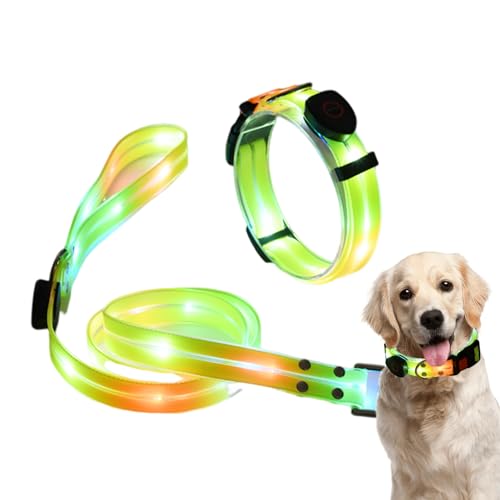 Leuchtendes Hundeseil, wiederaufladbares LED-Hundehalsband mit Licht, verstellbares leuchtendes Haustierhalsband, reflektierendes, gut sichtbares Hundehalsband mit 3 Modi für Nachtspaziergänge, leucht von Decorhome