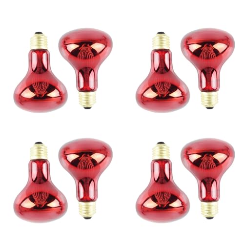 Decqerbe 100W 8 Pack Infrarot WäRme Lampe GlüHbirne Rot Licht GlüHbirne für Eidechsen Bartagamen ChamäLeons Schlangen Reptilien & Amphibien 220V von Decqerbe