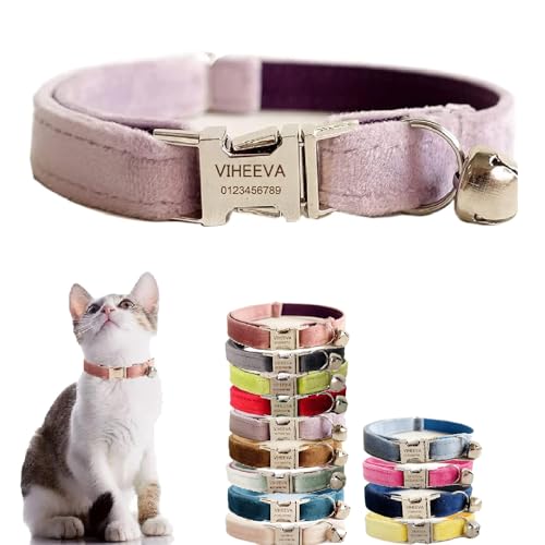 Katzenhalsband, bestickt, mit Glöckchen, für Katzen und kleine Hunde, Welpen, Kätzchen, personalisierter Text mit Haustiernamen und Telefonnummer (L (20,3 cm - 33 cm), Violett von Defgeph