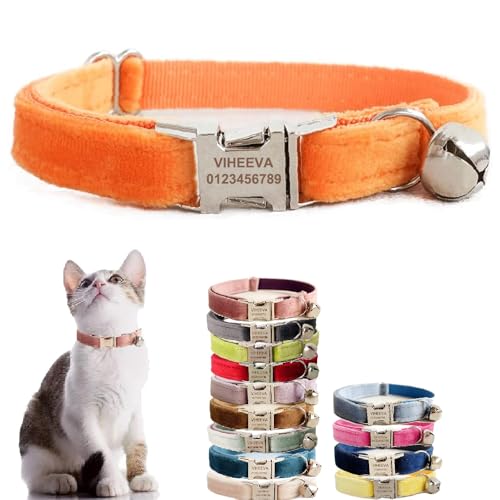 Katzenhalsband, bestickt, mit Glöckchen, für Katzen und kleine Hunde, Welpen, Kätzchen, personalisierter Text mit Haustiernamen und Telefonnummer (S (15,2 cm - 25,4 cm), Orange) von Defgeph