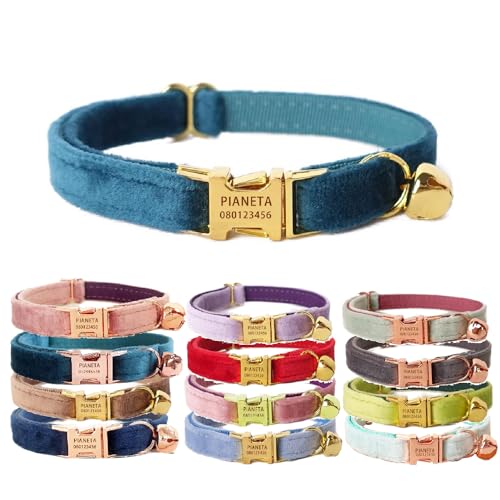 Katzenhalsband, personalisierbar mit Name und Glöckchen, personalisierbar, Samt-Halsbänder für Welpen, Kätzchen (Edelsteingrün + goldfarbener Verschluss, L (8"-13")) von Defgeph